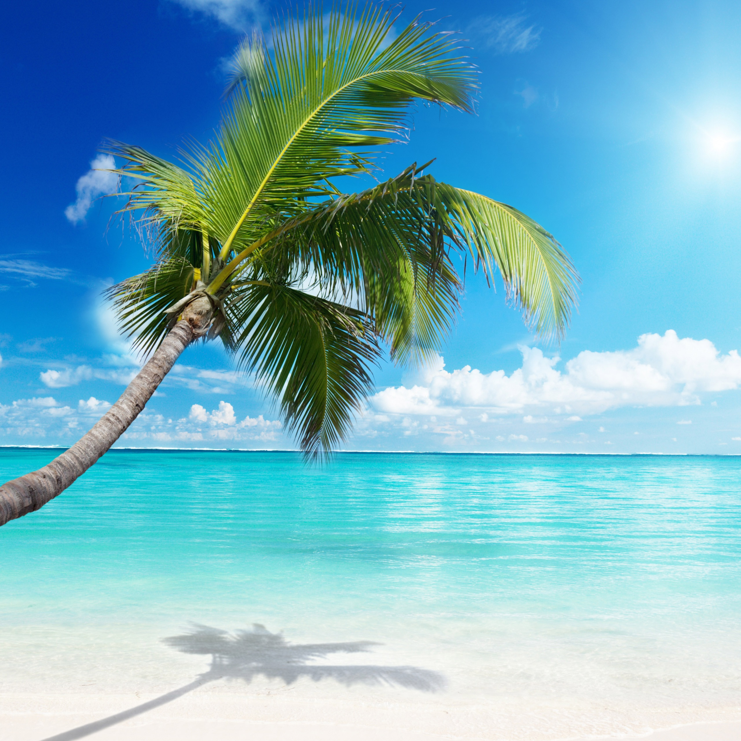 The Beach Amazing Nature Wallpaper Photos - Cool HD ...