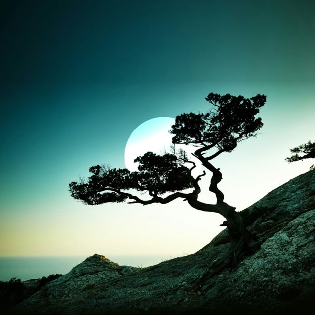 Latest Desktop Wallpapers Of Nature Cool Hd Wallpapers