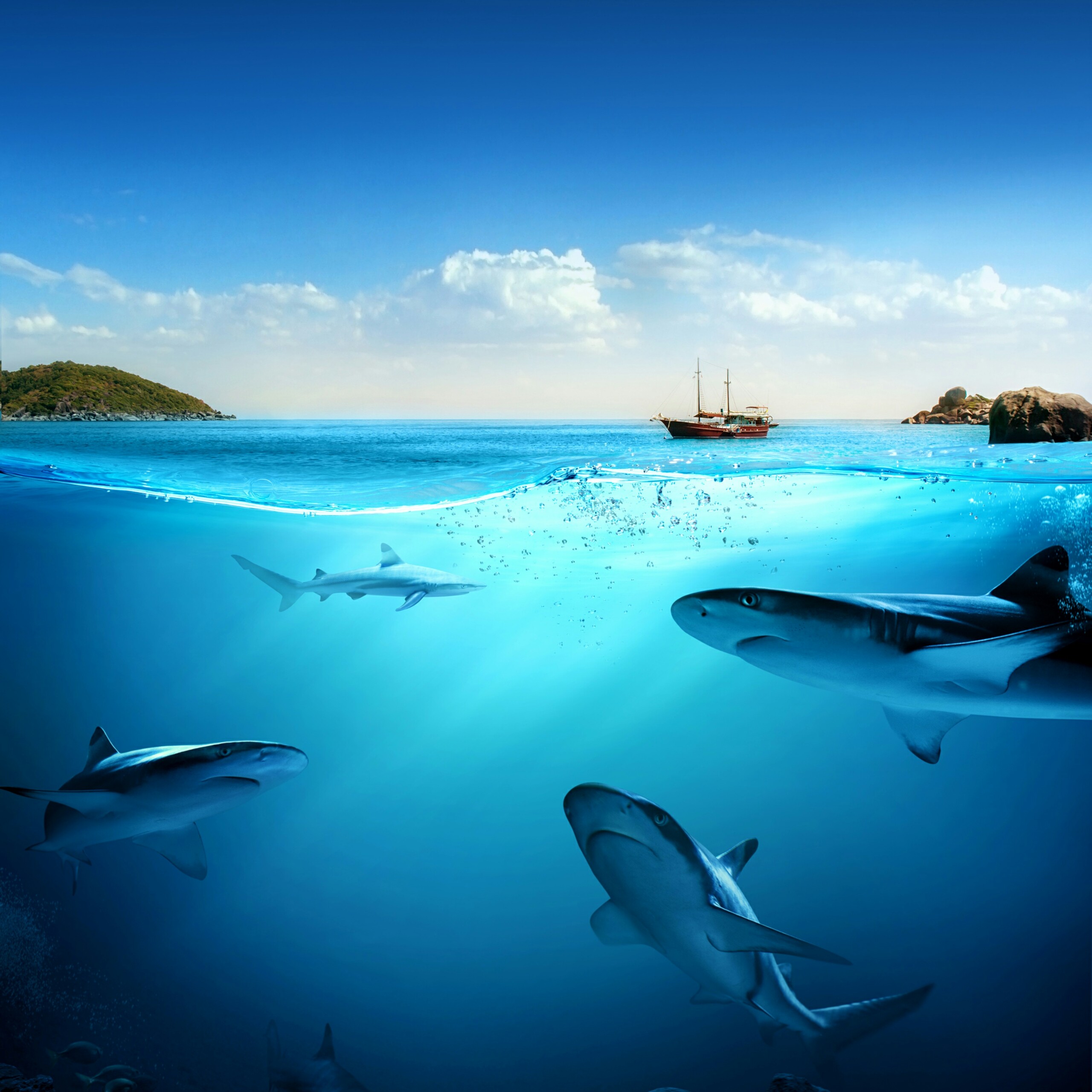 Underwater Wallpapers Ocean Free Images - Cool HD ...